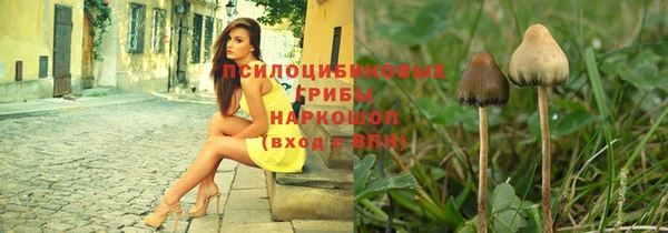 крисы Бугульма