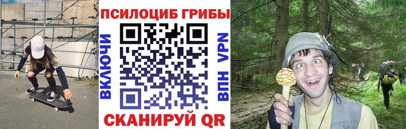 Галлюциногенные грибы Cubensis  ссылка на мегу маркетплейс  Володарск 