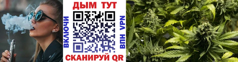 Канабис ГИДРОПОН  Володарск 